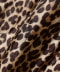Leoprd