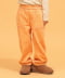 APRICOT