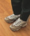 BEIGE /SILVER