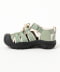 LILY PAD/BLACK