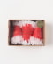 SurpriseSanta Hats