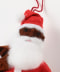SANTA CLAUSE