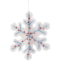 SNOWFLAKE