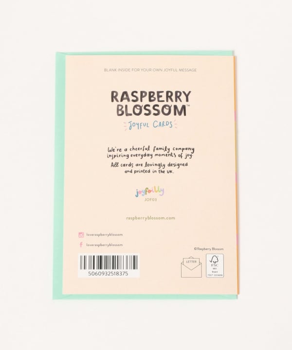 RASPBERRY BLOSSOM / Happy Birthday Card2