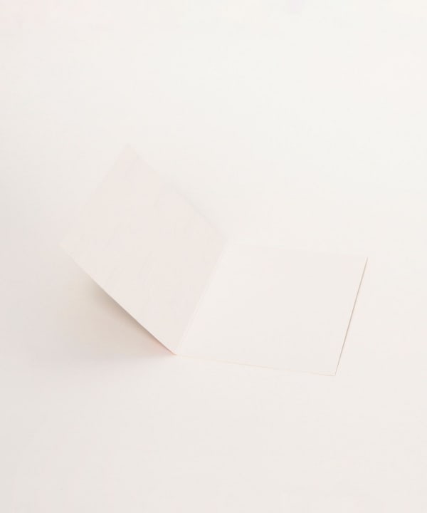 RASPBERRY BLOSSOM / Happy Birthday Card2