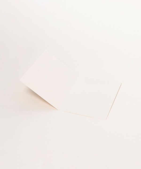 RASPBERRY BLOSSOM / Happy Birthday Card2