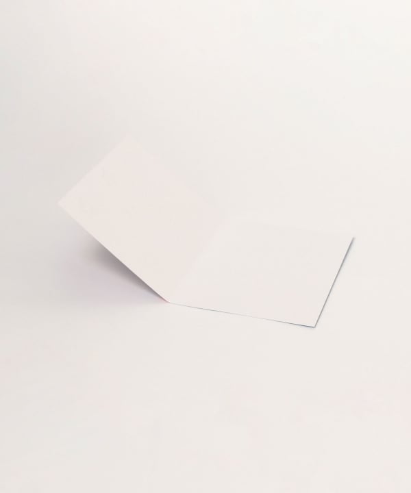 RASPBERRY BLOSSOM / Happy Birthday Card2