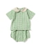 Green Gingham