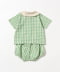 Green Gingham