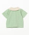 Green Gingham