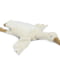 Goose white