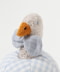 EBBA Duck