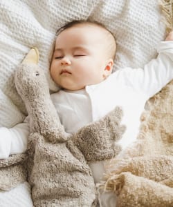 【モアバリエーション開催】SENGER Naturwelt / Cuddly Animal small 2025