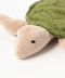 turtle fir green