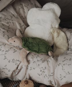 【モアバリエーション開催】SENGER Naturwelt / Cuddly Animal smalⅡ2025