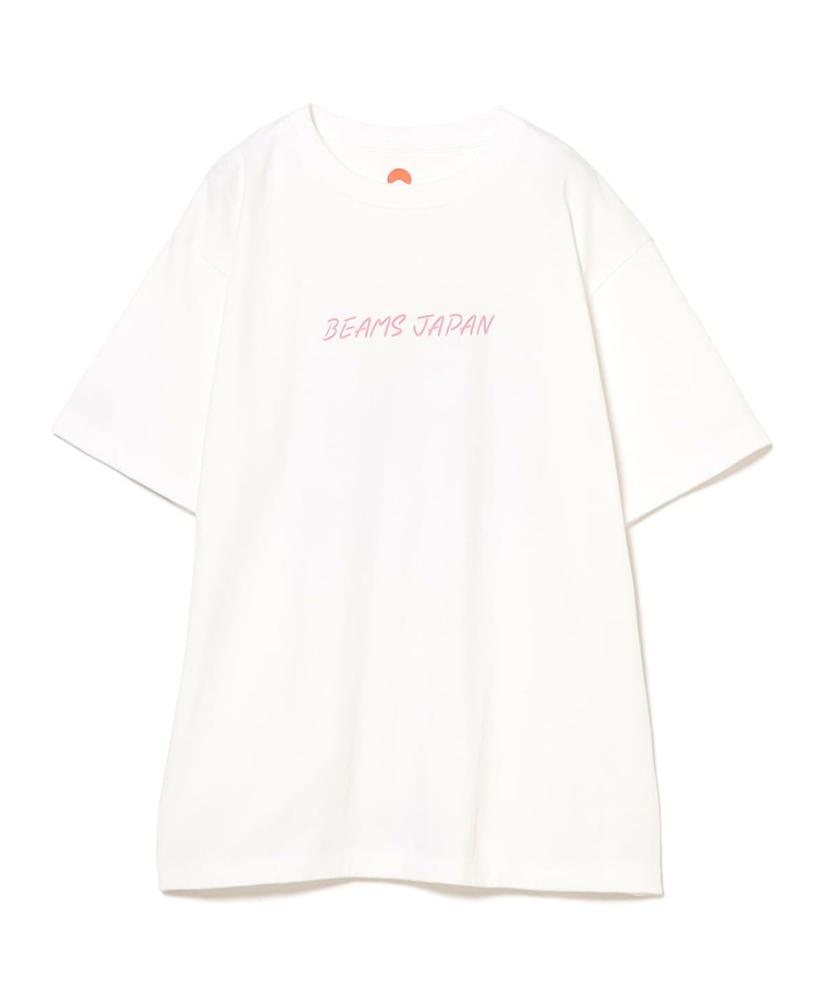 BEAMS JAPAN (BEAMS JAPAN) [Special order] Mt. Fuji T-shirt Vol.2