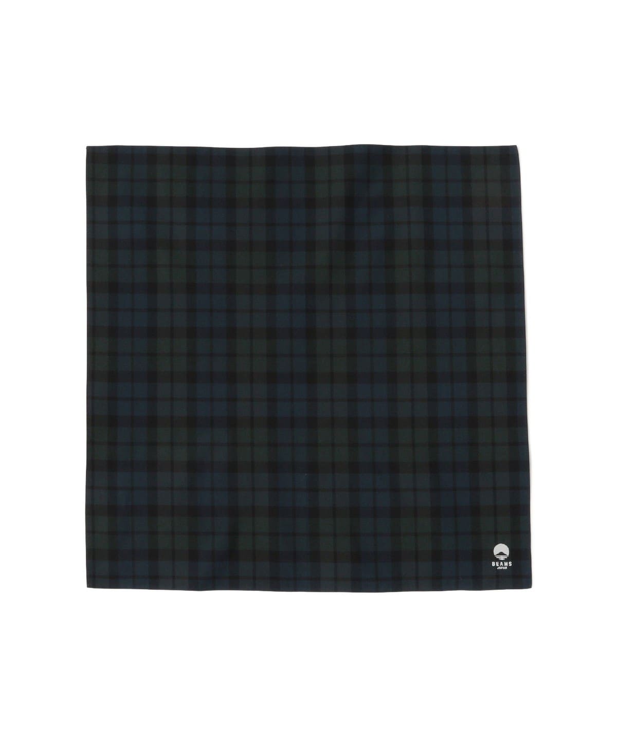 播州織 〈BEAMS JAPAN ビームス ジャパン〉ロゴ刺繍入り コットン ハンカチ 財布・小物 MEN 緑チェック ONE SIZE 播州織 〈BEAMS JAPAN ビームス ジャパン〉ロゴ刺繍入り コットン ハンカチ 財布・小物 MEN 緑チェック ONE SIZE
