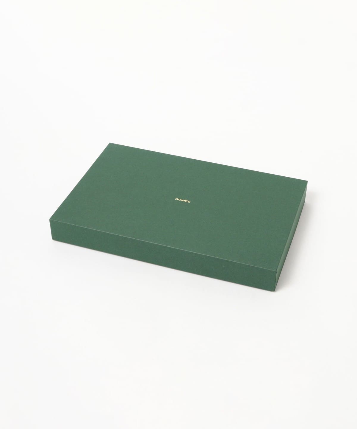 BEAMS JAPAN（ビームス ジャパン）【別注】ソメスサドル / レザー ロゴ