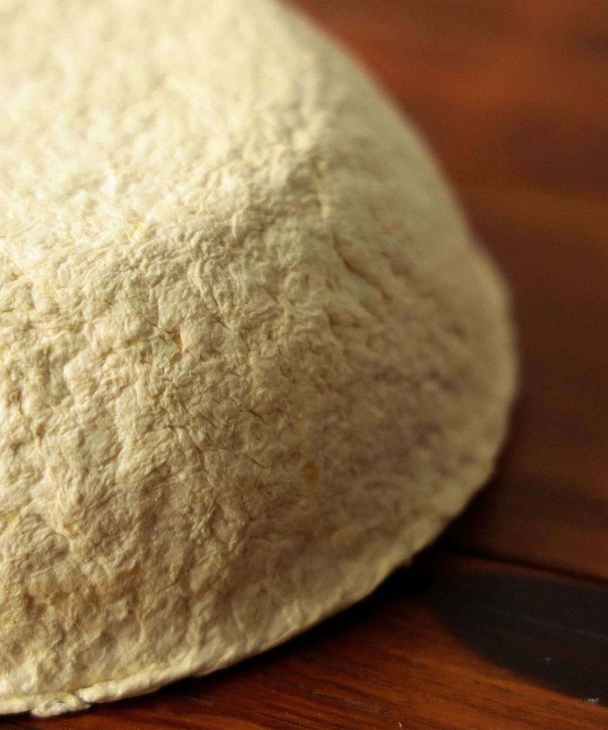 Food Paper / 蔬果再生紙 小物收納盒