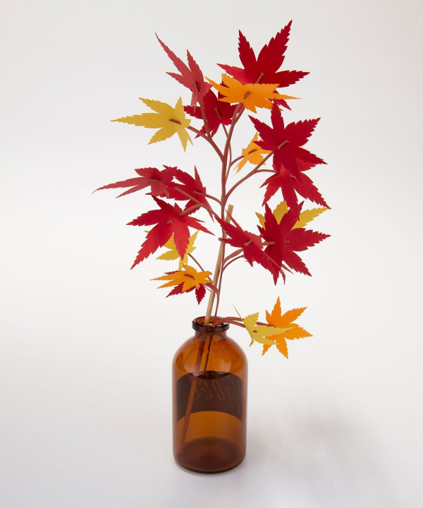 bog craft / SOEL モミジ