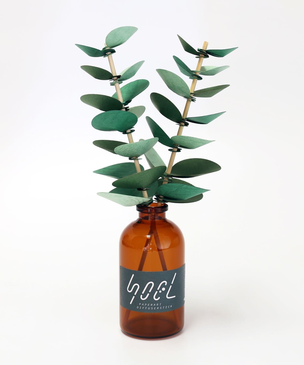 bog craft / SOEL 尤加利 立體擺飾