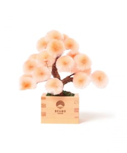 【別注】岡半 / 盆栽枡 橙松 小