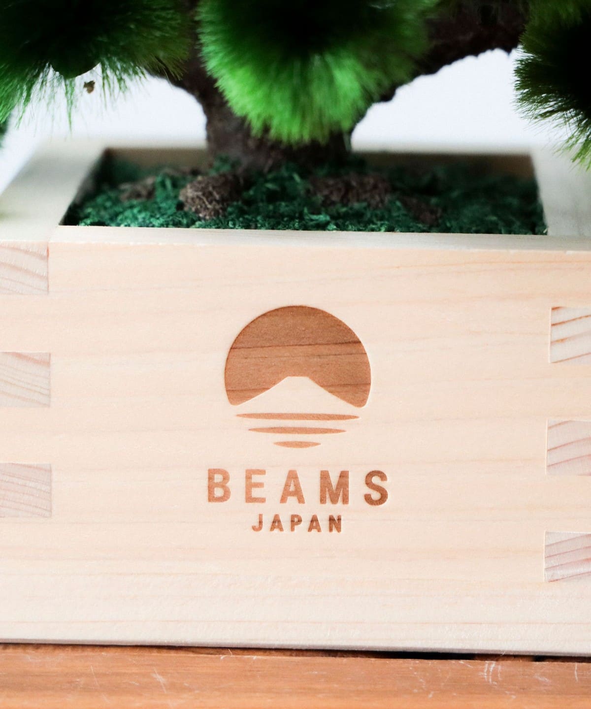 BEAMS JAPAN（ビームス ジャパン）【別注】岡半 / 盆栽枡 松 大