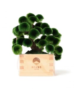 【別注】岡半 / 盆栽枡松 大