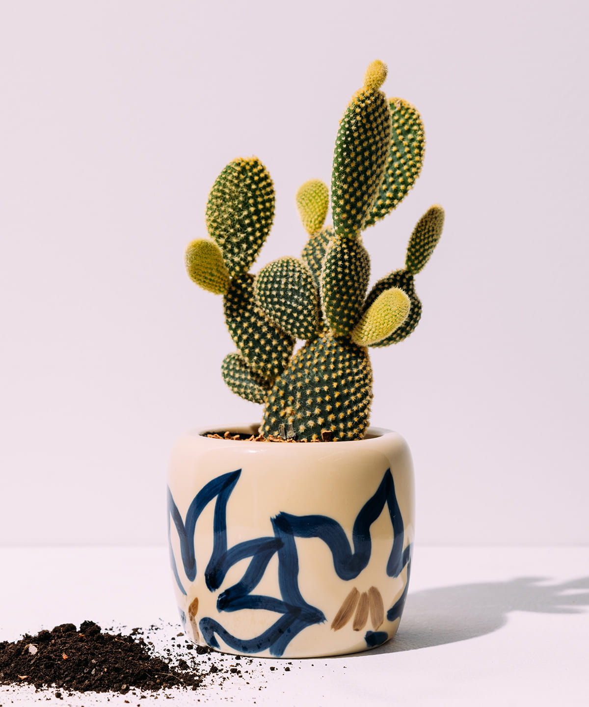 【別注】名鉄都市開発 × 中外陶園 / 植木鉢 インテリア MEN - ONE SIZE 【別注】名鉄都市開発 × 中外陶園 / 植木鉢 インテリア MEN - ONE SIZE