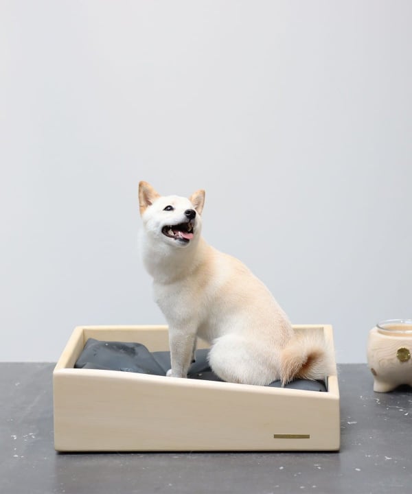 ＊Cul de Sac 青森ヒバ　ペットベッド　今月末までの最終お値下げ＊ BEAMS JAPAN（ビームス ジャパン）【別注】Cul de Sac-JAPON / 青森