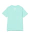 CELADON