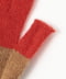 RED/CAMEL