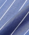 blue stripe