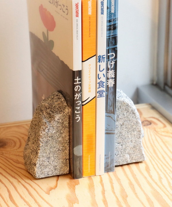 AJI PROJECT (AOISHIMA) / RS - ROCK END S