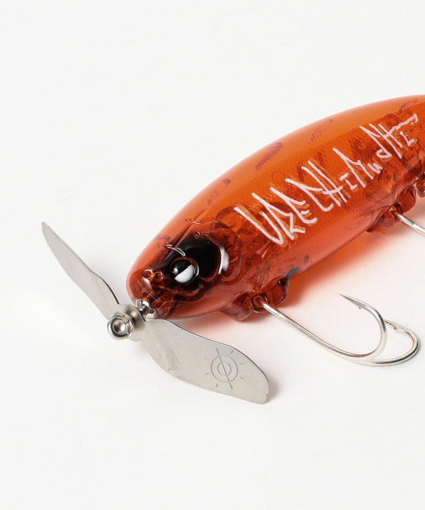 【新製品】痴虫　プラカブメス　黒骨オレンジベリー　チムシ 新製品】痴虫 プラカブメス 黒骨オレンジベリー チムシ