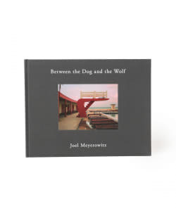 Joel Meyerowitz / Between the Dog and the Wolf 2nd edition