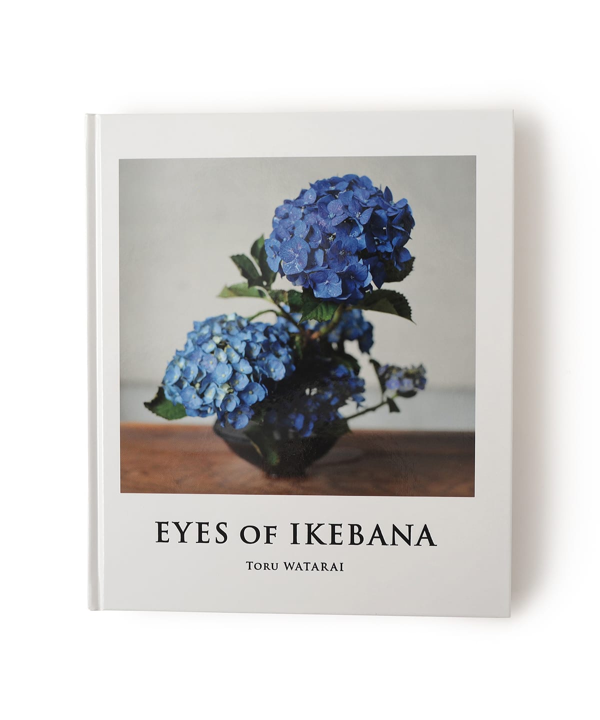 渡来徹 / EYES OF IKEBANA 音楽・本 MEN 渡来徹 ONE SIZE 渡来徹 / EYES OF IKEBANA 音楽・本 MEN 渡来徹 ONE SIZE