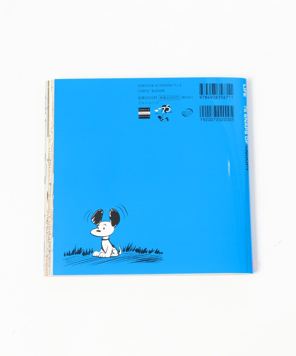 TOKYO CULTUART by BEAMS（トーキョー カルチャート by ビームス