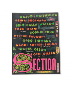 Section / Vol.2