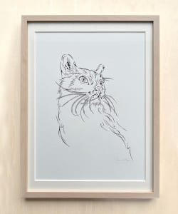 黒田潔 / 額付原画作品