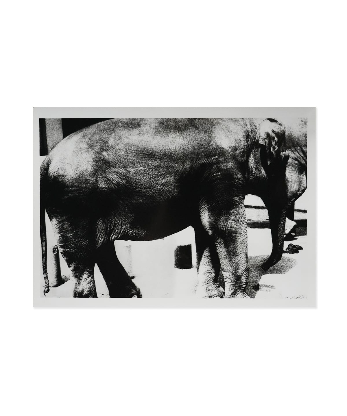 TOKYO CULTUART by BEAMS（トーキョー カルチャート by ビームス