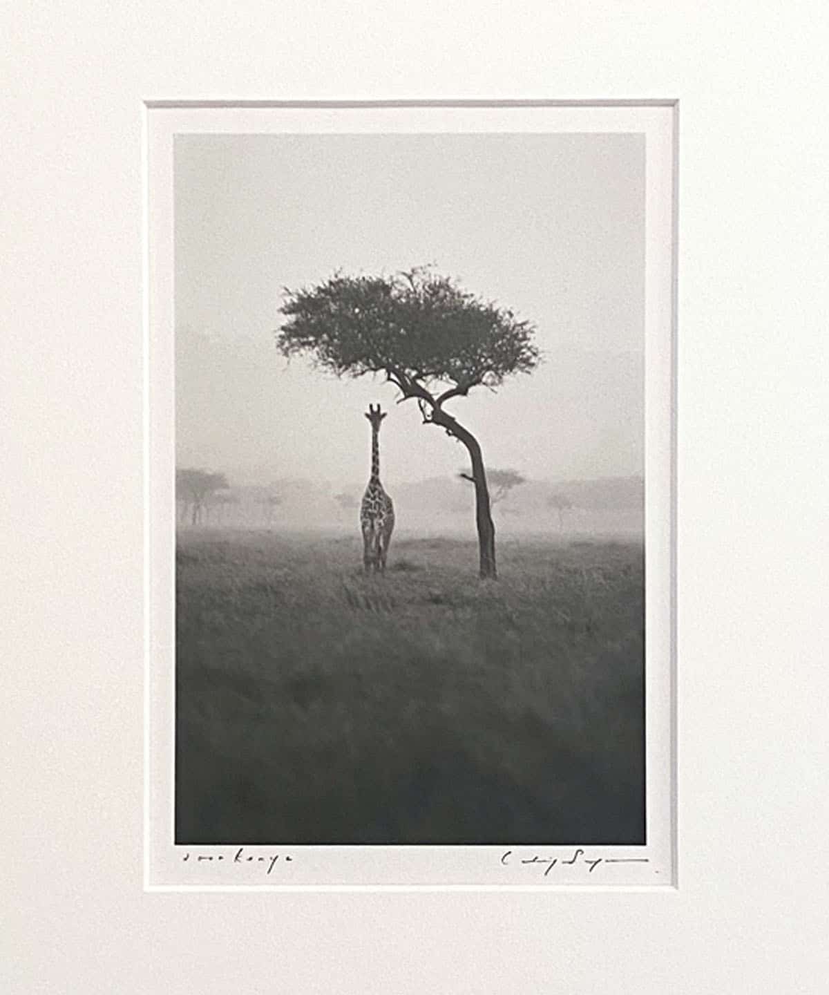 写真工業1957年9月号　珍品 TOKYO CULTUART by BEAMS（トーキョー カルチャート by ビームス