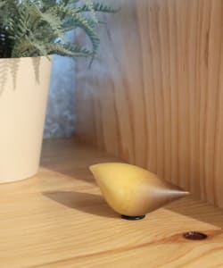 BIRDS' WORDS / OVAL BIRD S