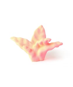 Mie Takahashi / Gradation Form