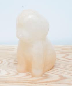 Natsuki Sasamoto / BUDDY