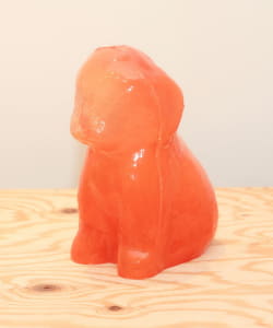 Natsuki Sasamoto / BUDDY