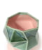PINK*GREEN