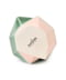 PINK*GREEN
