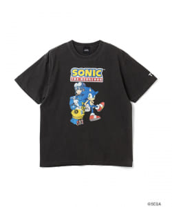 TOKYO GAME SHOW 2026 / GAME ARTeee COLLECTION