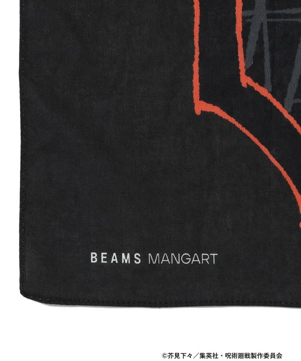 item main image